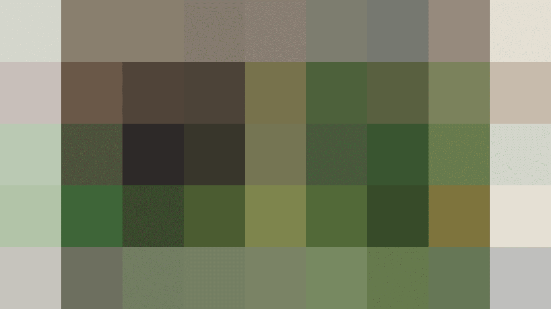 Male and female versions of the Warrior vocation. They wear signature green robes.